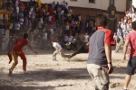 Toro de la tarde 7-9-2010