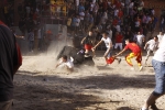Toro de la tarde 7-9-2010