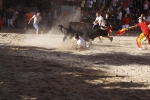 Toro de la tarde 7-9-2010