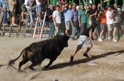 Fotografia /Gallery/35569_19598/3_M1.jpg