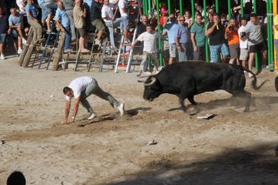 Fotografia /Gallery/35569_19598/4_M1.jpg