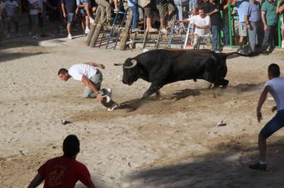 Fotografia /Gallery/35569_19598/5_M1.jpg