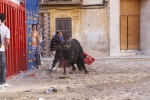 Toro de la tarde 7-9-2010