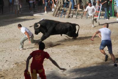 Fotografia /Gallery/35569_19598/6_M1.jpg