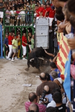 Toro de la tarde 7-9-2010