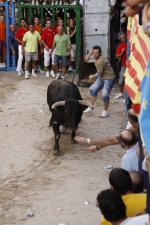 Toro de la tarde 7-9-2010