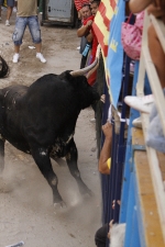 Toro de la tarde 7-9-2010