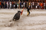 Toro de la tarde 7-9-2010