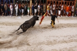 Toro de la tarde 7-9-2010