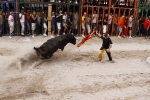 Toro de la tarde 7-9-2010