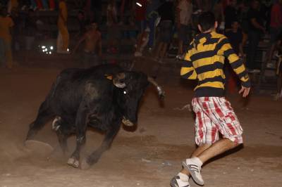 Fotografia /Gallery/35728_19683/2_M1.jpg