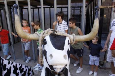 Fotografia /Gallery/35729_19684/5_M1.jpg