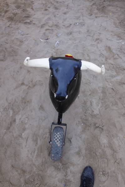 Fotografia /Gallery/35729_19684/6_M1.jpg