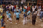 Toro de la tarde 