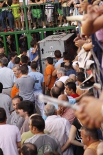 Toro de la tarde 