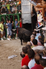 Toro de la tarde 