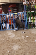Toro de la tarde 