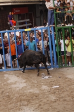 Toro de la tarde 
