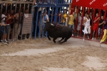 Toro de la tarde 