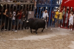Toro de la tarde 