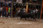 Toro de la tarde 