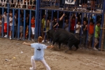 Toro de la tarde 
