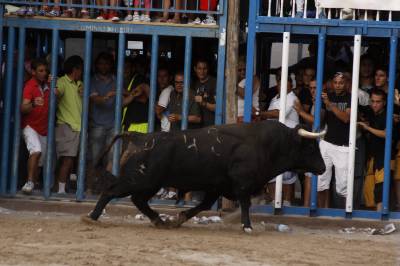 Fotografia /Gallery/35762_19713/2_M1.jpg