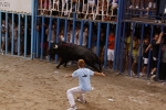 Toro de la tarde 