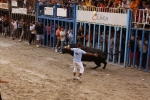 Toro de la tarde 