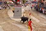 Toro de la tarde 