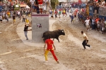Toro de la tarde 