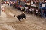 Toro de la tarde 