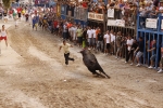 Toro de la tarde 