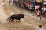 Toro de la tarde 