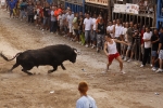 Toro de la tarde 