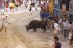 Toro de la tarde 