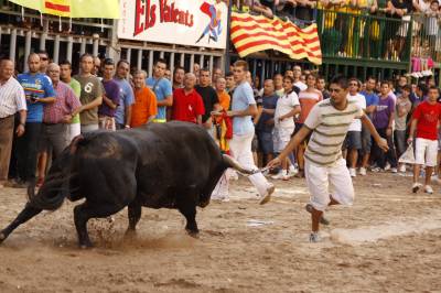 Fotografia /Gallery/35762_19713/3_M1.jpg