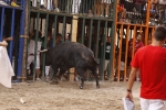 Toro de la tarde 