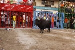 Toro de la tarde 