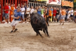 Toro de la tarde 