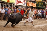 Toro de la tarde 