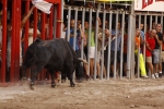 Toro de la tarde 