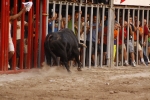 Toro de la tarde 