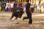 Toro de la tarde 
