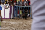 Toro de la tarde 