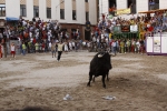 Toro de la tarde 