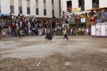 Toro de la tarde 