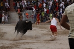 Toro de la tarde 