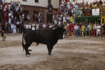 Toro de la tarde 