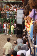 toro de la tarde 11-9